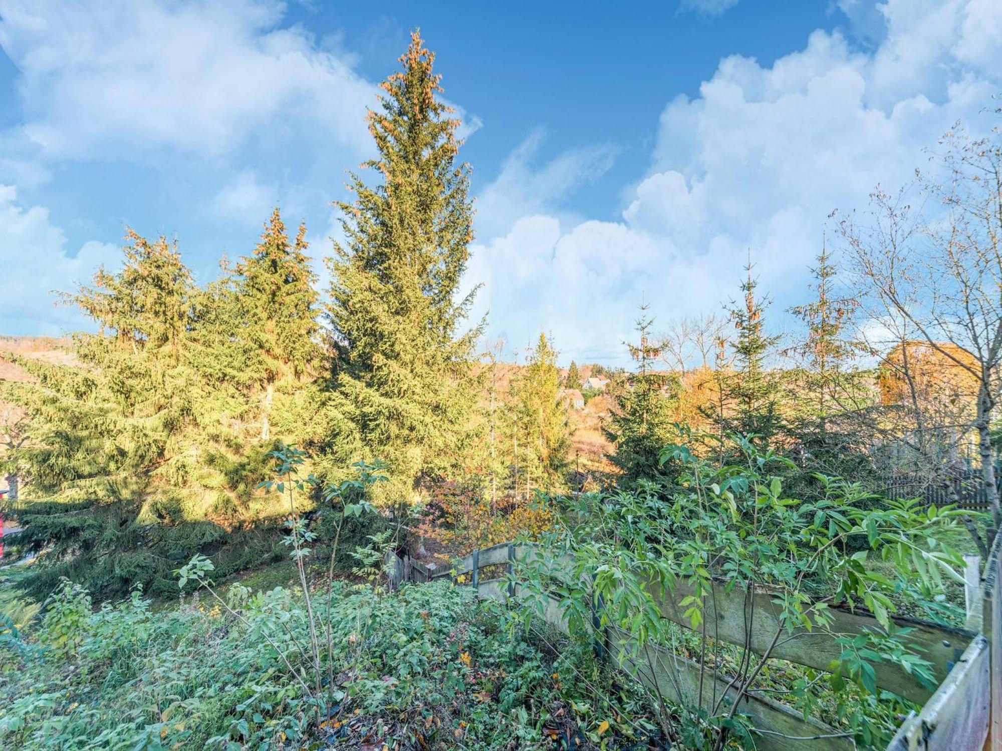 Comely Holiday Home In G Ntersberge Near Forest 金特斯贝格 外观 照片