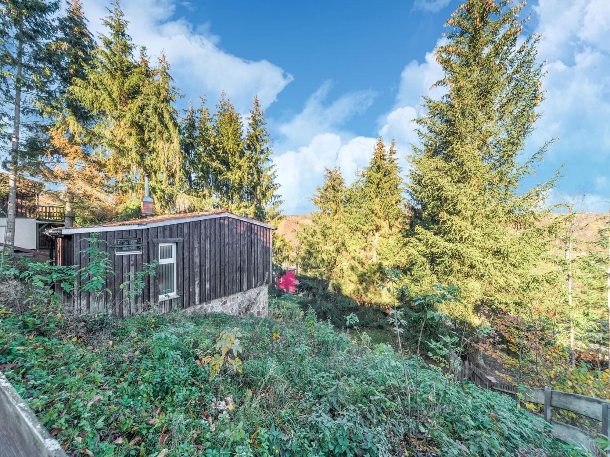 Comely Holiday Home In G Ntersberge Near Forest 金特斯贝格 外观 照片