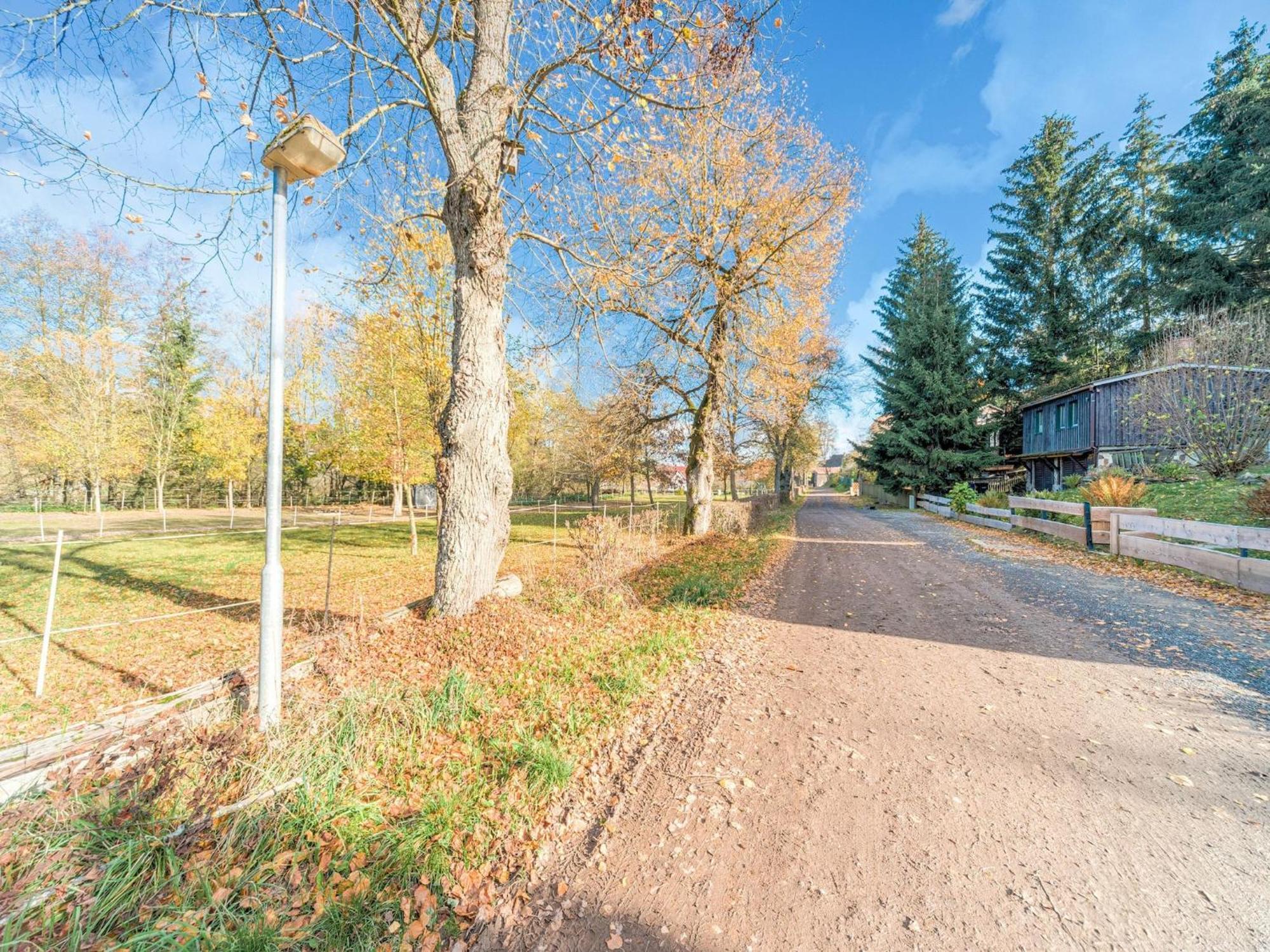 Comely Holiday Home In G Ntersberge Near Forest 金特斯贝格 外观 照片